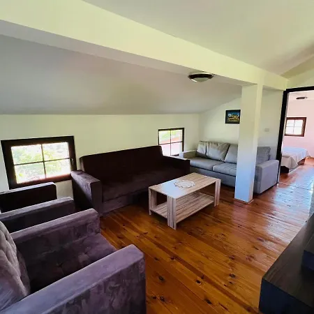 Vila под манастира Skrino