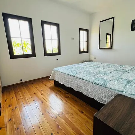 Vila под манастира Skrino